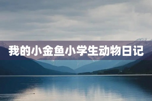 我的小金鱼小学生动物日记