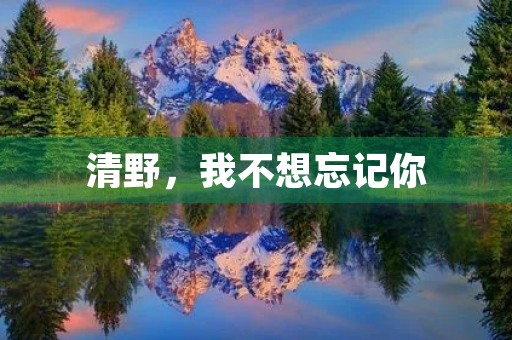 清野，我不想忘记你