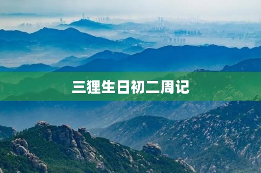 三狸生日初二周记 三狸生日初二周记