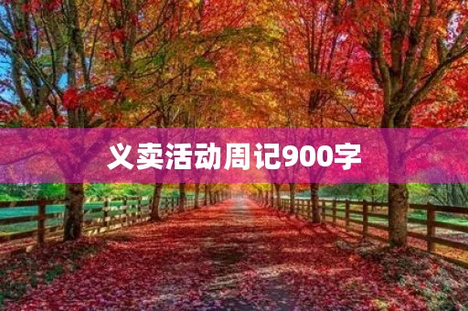 义卖活动周记900字 义卖活动周记900字