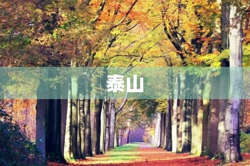 泰山