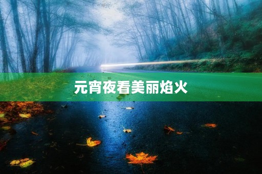 元宵夜看美丽焰火
