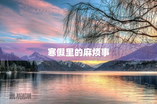 寒假里的麻烦事 寒假里的麻烦事