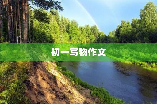 初一写物作文