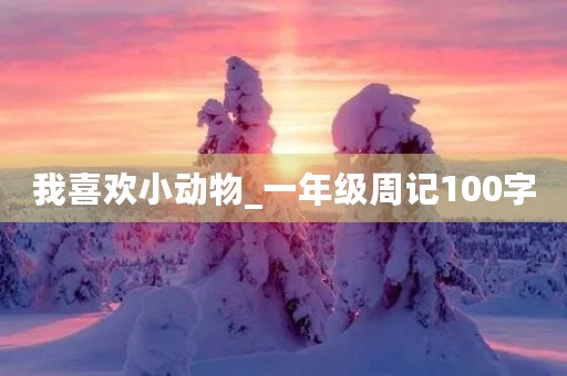 我喜欢小动物_一年级周记100字