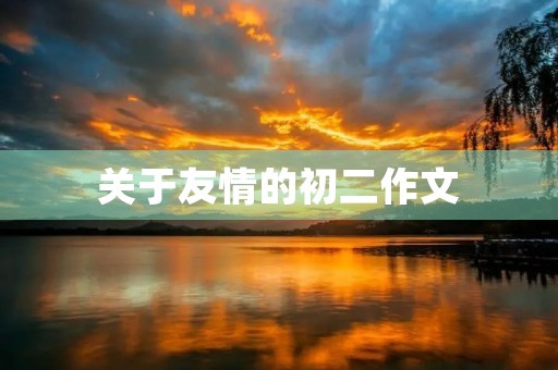关于友情的初二作文