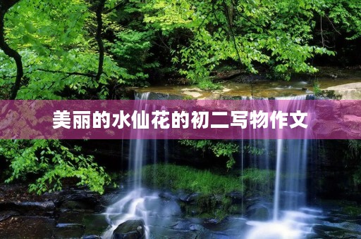 美丽的水仙花的初二写物作文