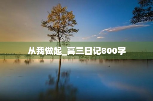 从我做起_高三日记800字