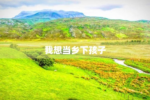 我想当乡下孩子