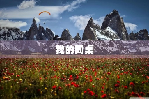我的同桌