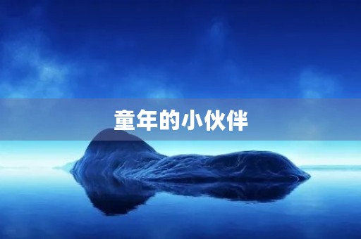 童年的小伙伴