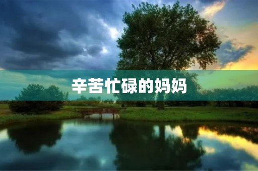 辛苦忙碌的妈妈 辛苦忙碌的妈妈