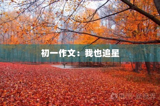 初一作文:我也追星 初一作文:我也追星