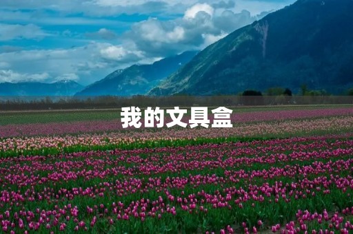 我的文具盒