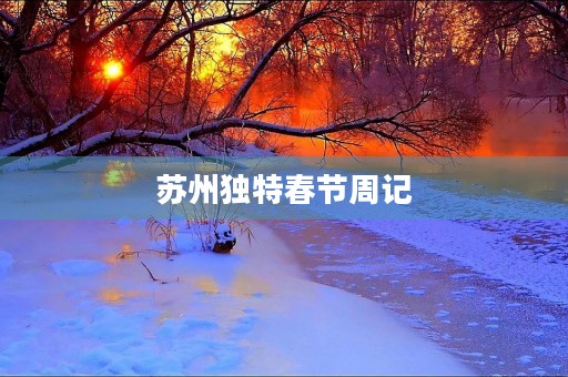 苏州独特春节周记