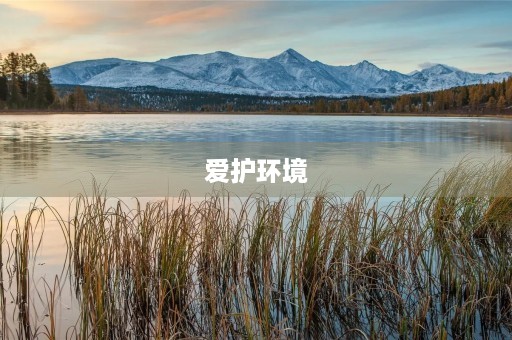 爱护环境 爱护环境