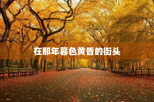 在那年暮色黄昏的街头