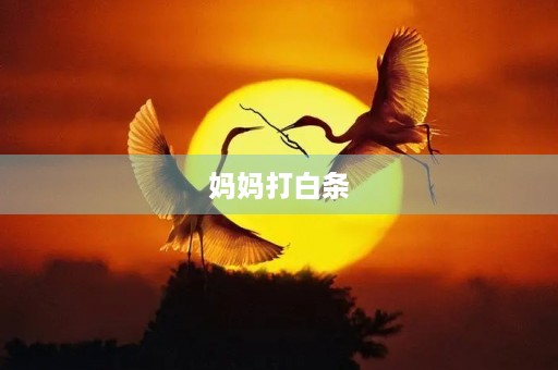 妈妈打白条
