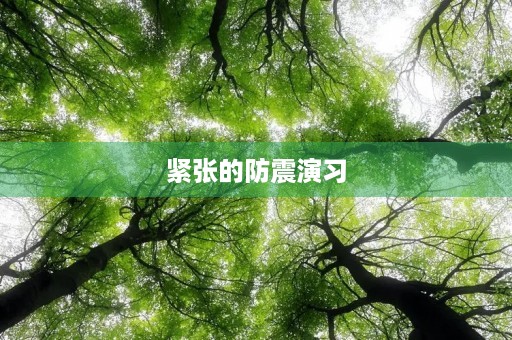 紧张的防震演习