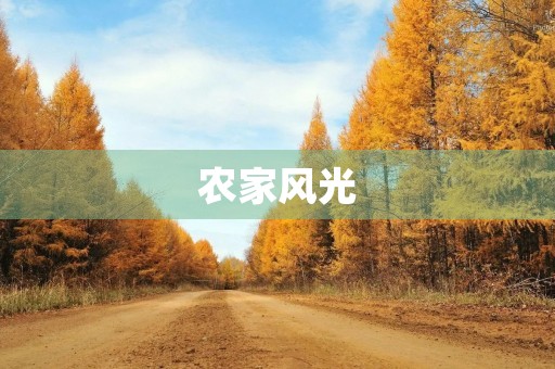 农家风光