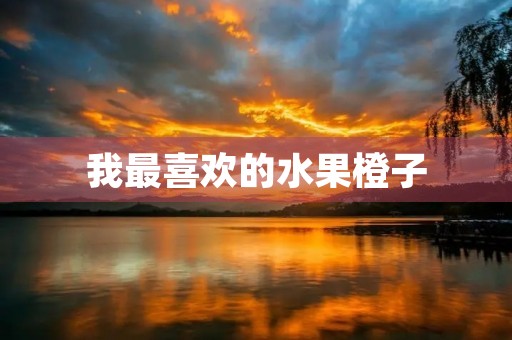 我最喜欢的水果橙子