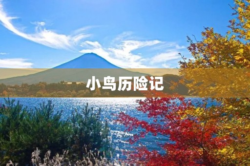 小鸟历险记