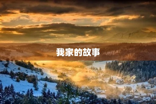 我家的故事 我家的故事