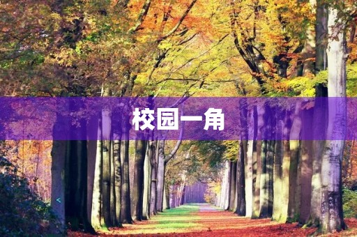 校园一角