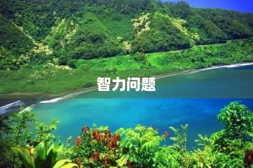 智力问题 智力问题