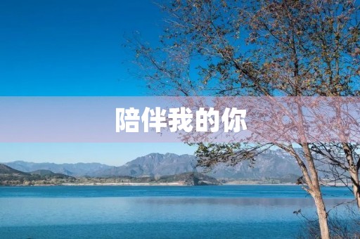 陪伴我的你