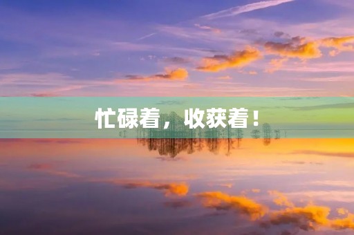忙碌着，收获着！