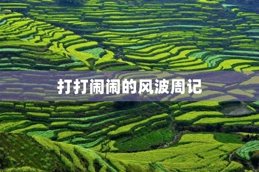 打打闹闹的风波周记