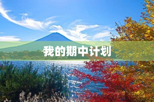 我的期中计划 我的期中计划