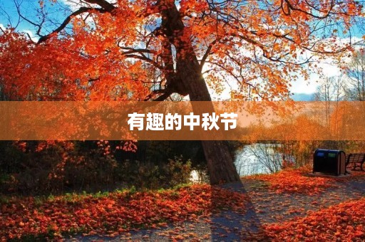 有趣的中秋节