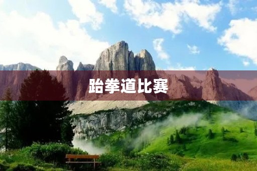 跆拳道比赛 跆拳道比赛