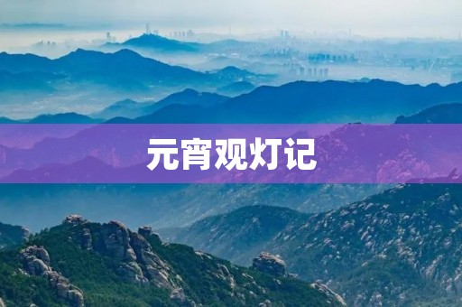 元宵观灯记 元宵观灯记