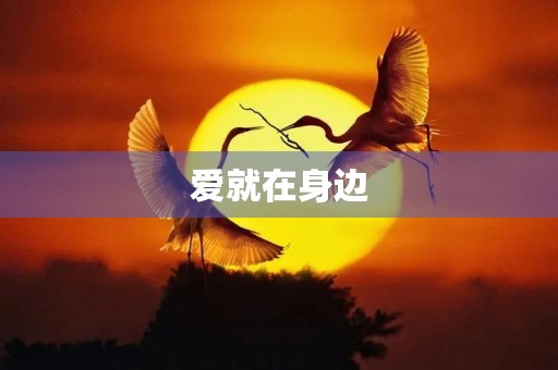 爱就在身边
