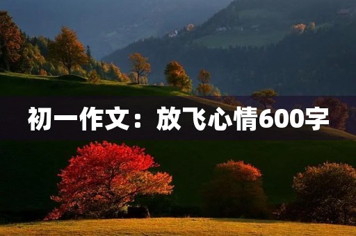 初一作文：放飞心情600字
