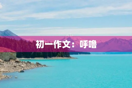 初一作文:呼噜 初一作文:呼噜