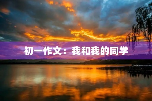 初一作文：我和我的同学