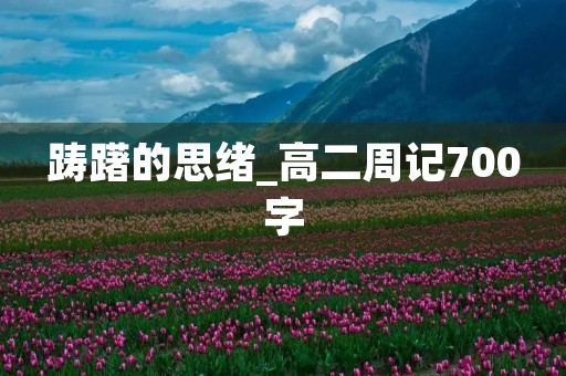 踌躇的思绪_高二周记700字