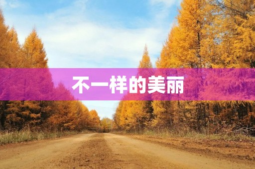 不一样的美丽