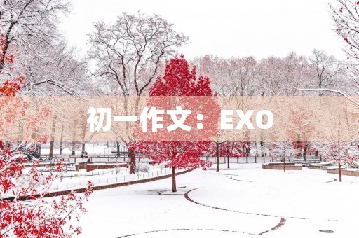 初一作文：EXO