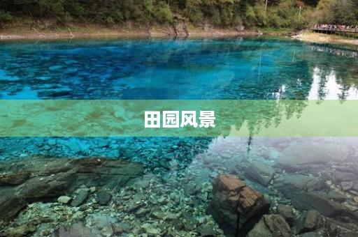 田园风景 田园风景