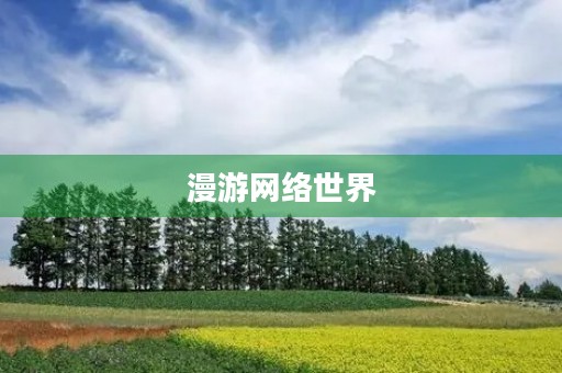 漫游网络世界