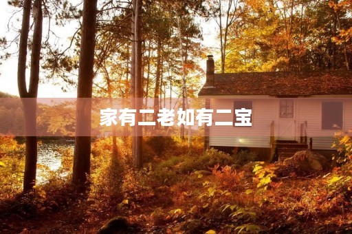 家有二老如有二宝