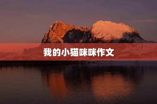 我的小猫**作文