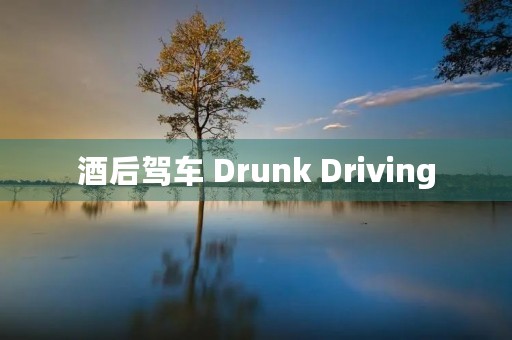 酒后驾车 Drunk Driving 酒后驾车 Drunk Driving