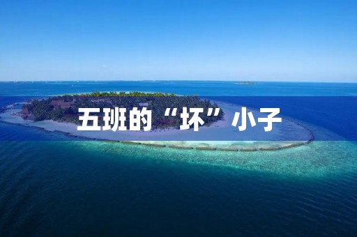 五班的“坏”小子