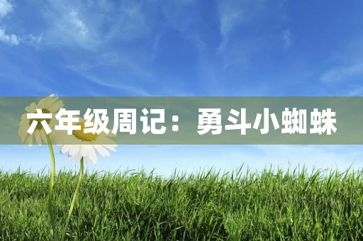 六年级周记：勇斗小蜘蛛